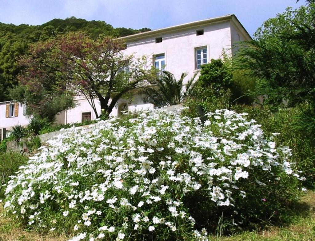 Casa A Rota Chambres D'Hotes Ersa Esterno foto